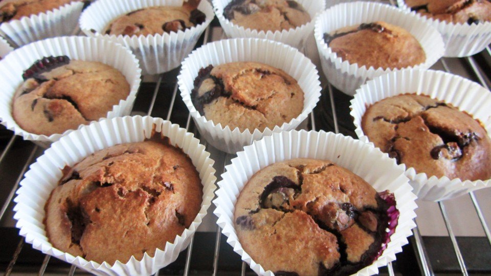 Havermout muffins blauwe bessen