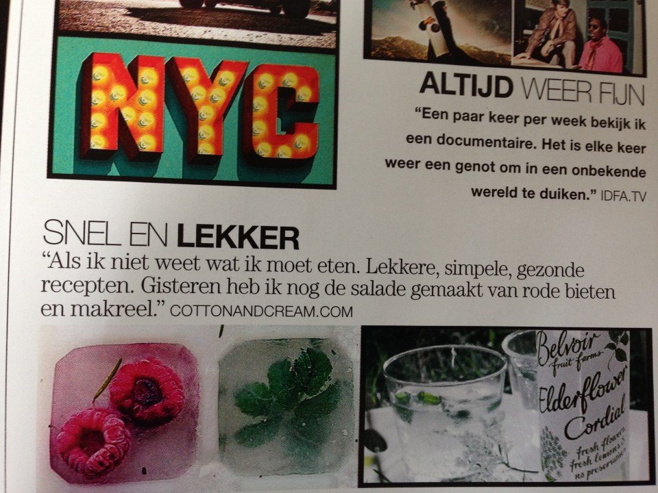 poezenboek
