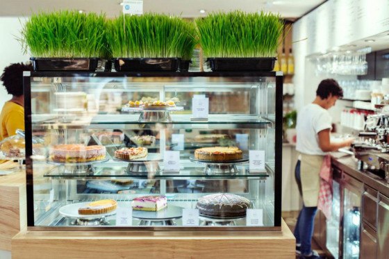 leukste-vegan-hotspots-1